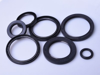 Series of Oil Seal