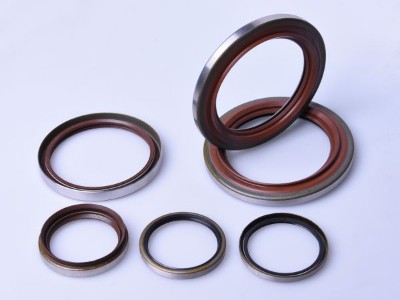 Series of Oil Seal